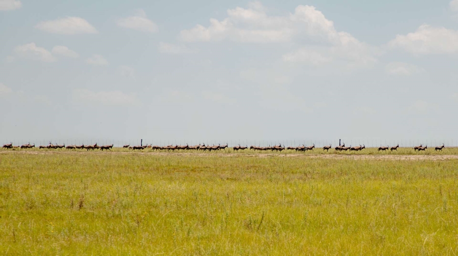 23 Bedroom Property for Sale in Heilbron Free State